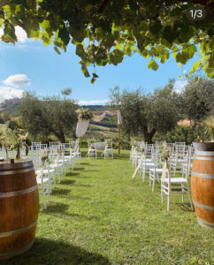 Get married in the vineyard in Italy